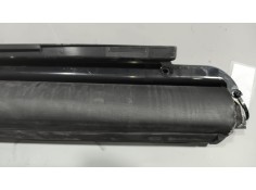 Recambio de cortina puerta derecha para renault magnum ab diesel referencia OEM IAM    2