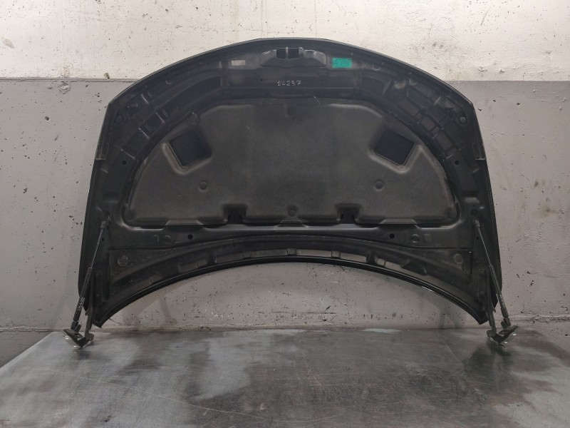 Recambio de capo para nissan murano i (z50) 3.5 4x4 referencia OEM IAM   