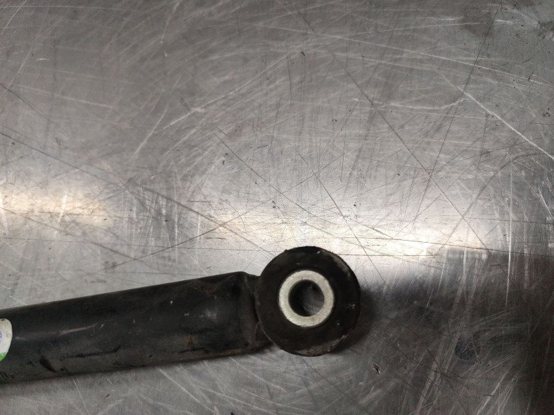 Recambio de amortiguador trasero para ford fiesta vi (cb1, ccn) 1.25 referencia OEM IAM   
