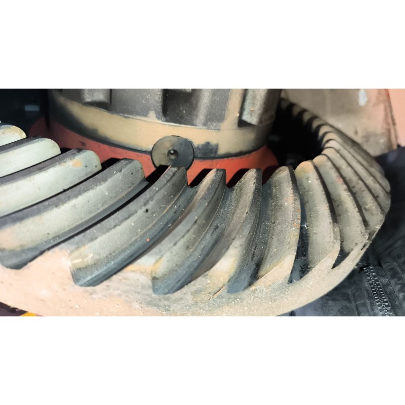 Recambio de grupo para iveco eurotech (mp) 9.5 diesel referencia OEM IAM 153E A13200V1530456 RATIO:1/456/9X41