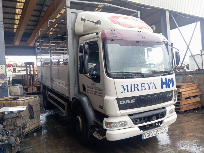 daf serie lf55.xxx desde 06 del año 2004