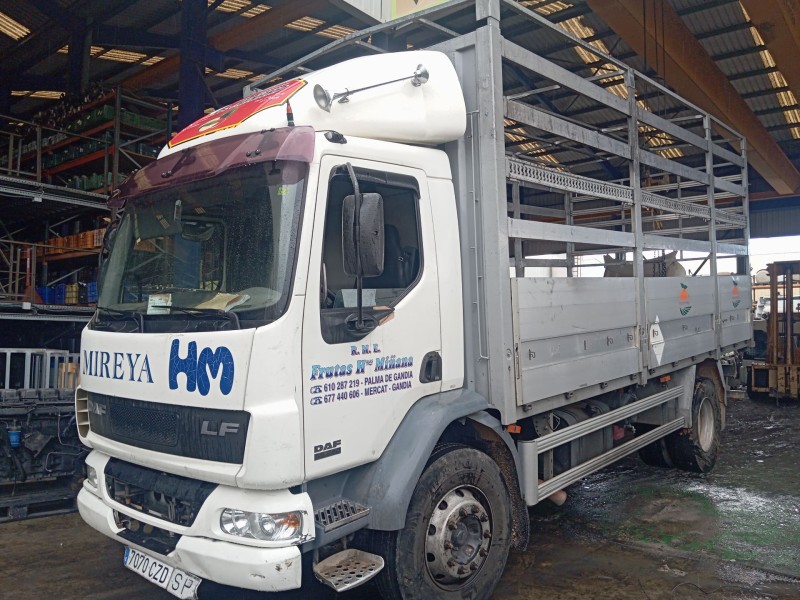 daf serie lf55.xxx desde 06 del año 2004