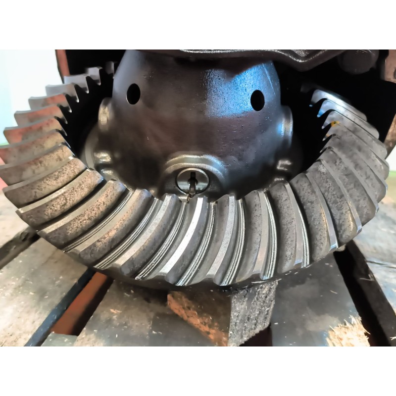 Recambio de grupo para iveco stralis (as) 10.3 diesel referencia OEM IAM MS17X 42560359 RATIO:1//285/13X37