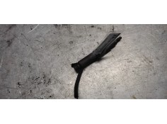 Recambio de inyector para seat ibiza (6k1) sport referencia OEM IAM 038130201G   2