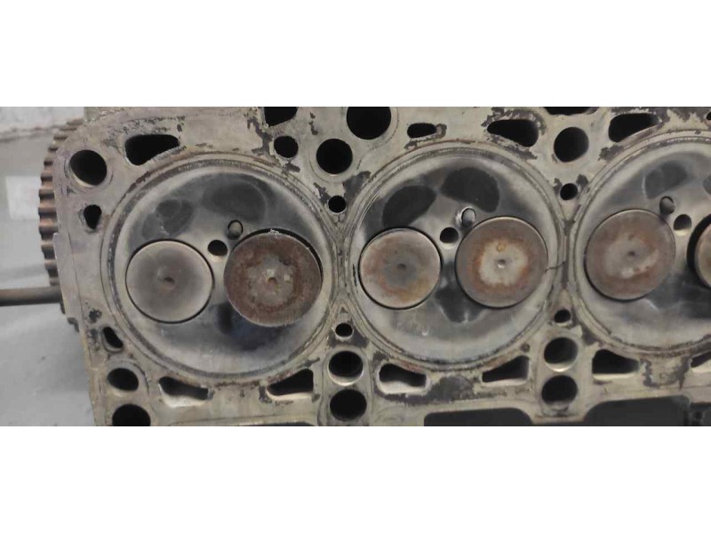 Recambio de culata para seat ibiza (6k1) sport referencia OEM IAM 038103373E  