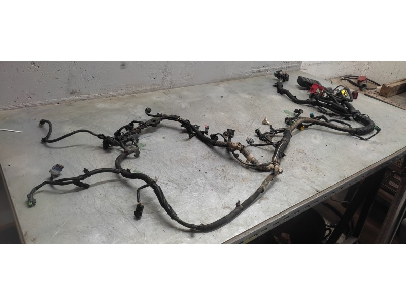 Recambio de instalacion electrica para citroën berlingo 1.6 hdi 75 xtr referencia OEM IAM   