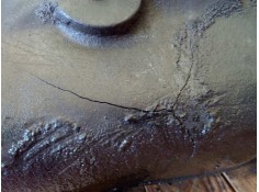 Recambio de despiece caja cambios para scania trucks serie 4 bus k 124 referencia OEM IAM GR801R 6917840  2