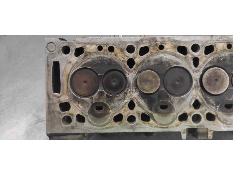 Recambio de culata para citroën xsara berlina 1.9 diesel referencia OEM IAM V19  