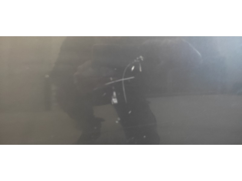 Recambio de puerta trasera derecha para citroën c5 berlina 2.0 hdi premier referencia OEM IAM   