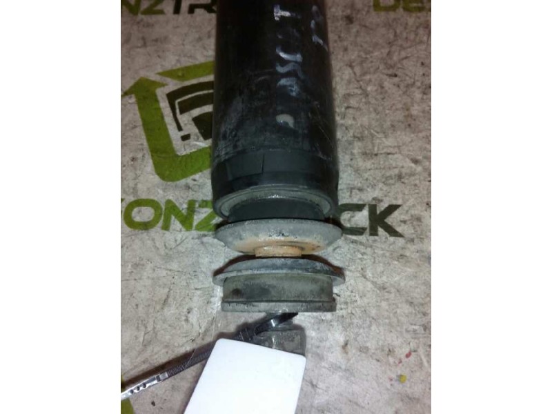 Recambio de amortiguador trasero para renault trucks mascott 160 dxi referencia OEM IAM 5010557381A  