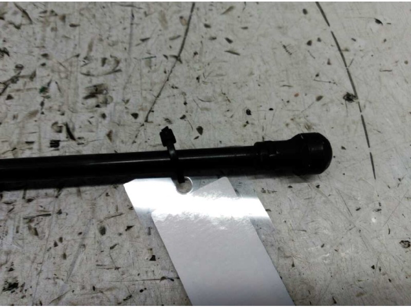 Recambio de amortiguadores capo para bmw serie 5 berlina (e39) referencia OEM IAM   