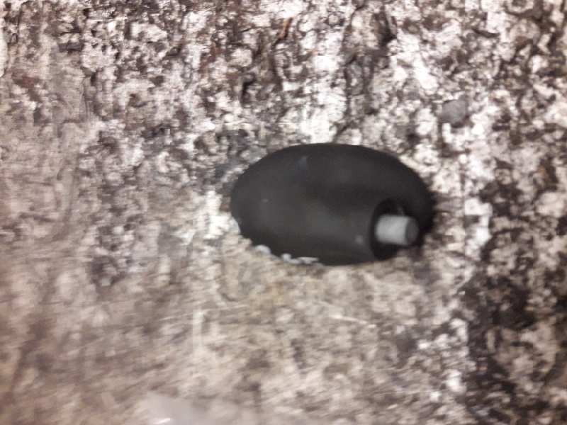 Recambio de base de antena para ford fiesta (cbk) ambiente referencia OEM IAM   