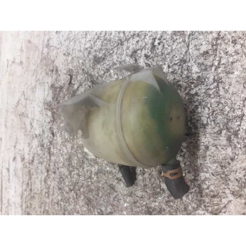 Recambio de deposito expansion para renault clio ii fase i (b/cbo) 1.9 d referencia OEM IAM 7700836316  