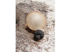 Recambio de deposito expansion para citroën c4 lim. seduction referencia OEM IAM   