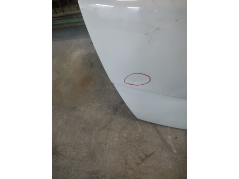 Recambio de porton trasero para skoda fabia (6y2/6y3) classic referencia OEM IAM   