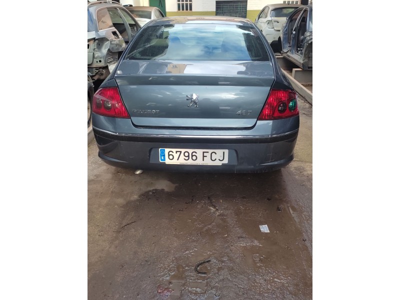 peugeot 407 (6d_) del año 2004