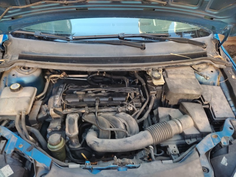 ford focus berlina (cap) del año 2005