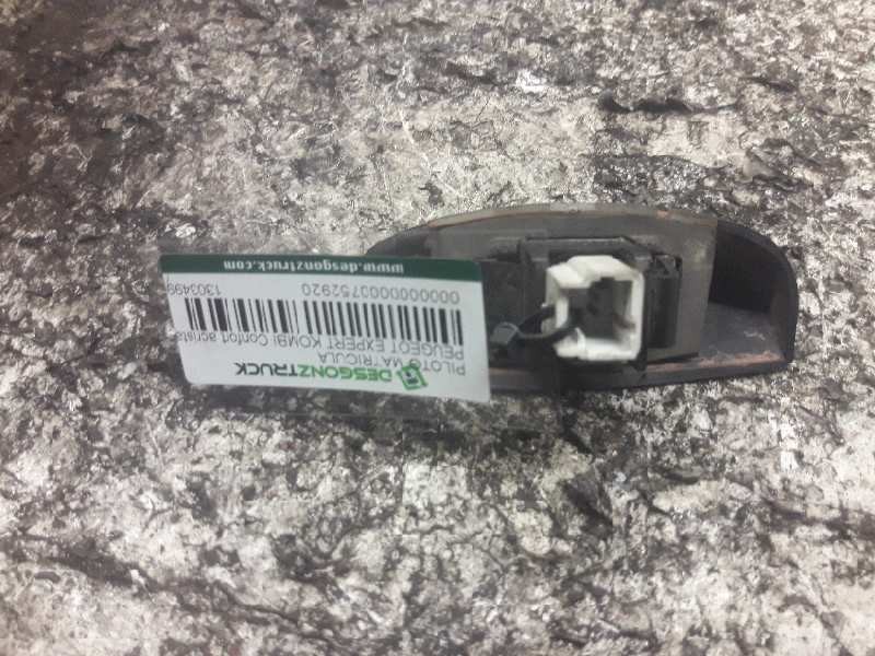 Recambio de piloto matricula para peugeot expert kombi confort acristaldo (5 asientos) referencia OEM IAM 1303499070 2 PINS 