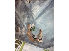 Recambio de soporte guardabarros trasero para scania serie p/g/r (l-clase) fsa g420 (4x2) corto cg 14 referencia OEM IAM IZQUIER 2