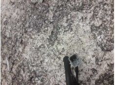 Recambio de captador abs delantero izquierdo para fiat scudo combi (272) l1h1 120 multijet (5 pl.) referencia OEM IAM 0265007790 2