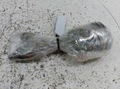 Recambio de piston para volkswagen golf iv berlina (1j1) básico referencia OEM IAM    2