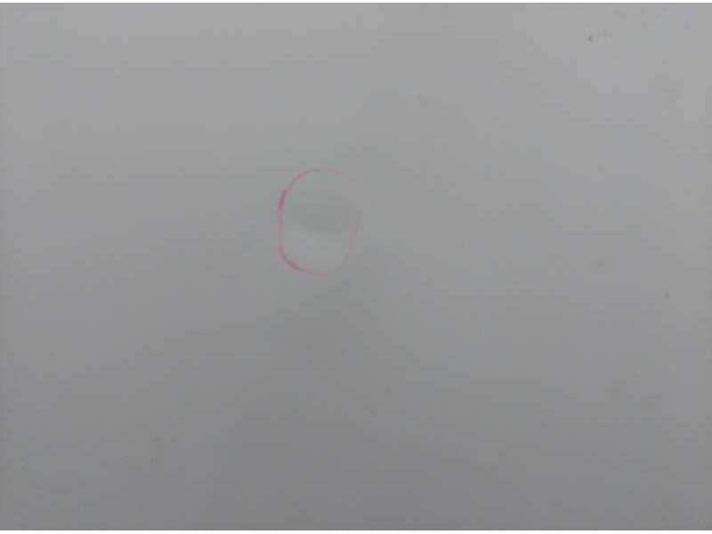 Recambio de capo para mitsubishi carisma berlina 4 (da0) 1900 comfort referencia OEM IAM   