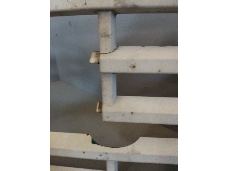 Recambio de rejilla delantera central para volvo fm 12 asta 2001 12.1 diesel (d12d420) referencia OEM IAM 1063509  