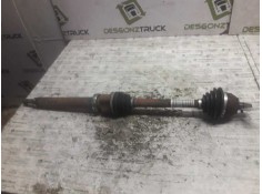 Recambio de transmision delantera derecha para ford focus berlina (cap) ghia referencia OEM IAM 3M513B437BA  