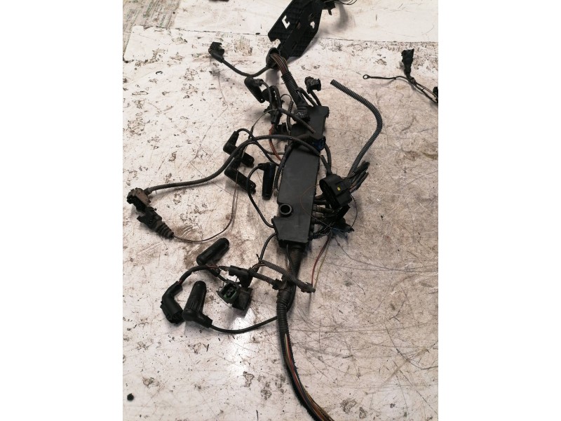 Recambio de instalacion electrica para bmw serie 7 (e65/e66) 730d referencia OEM IAM   