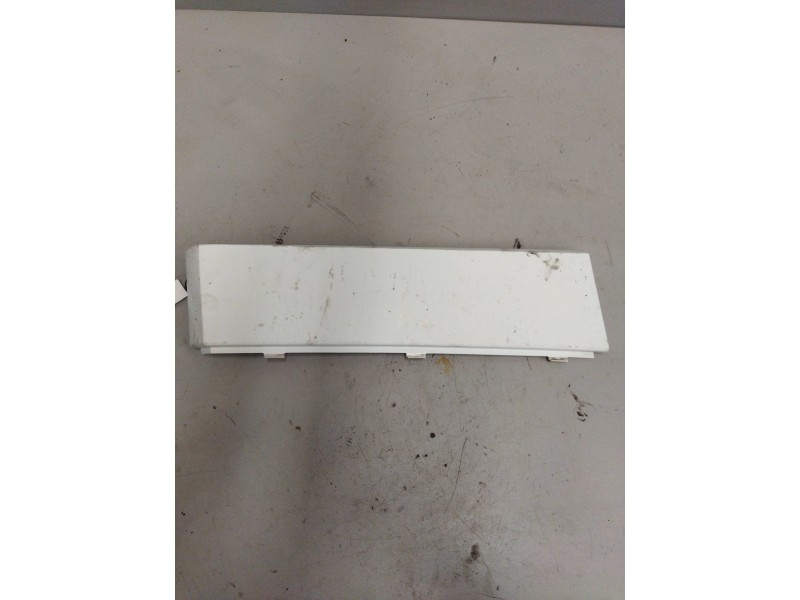 Recambio de molduras delanteras para renault magnum ab 2005 12.8 diesel referencia OEM IAM 5010468807 IZQUIERDA 