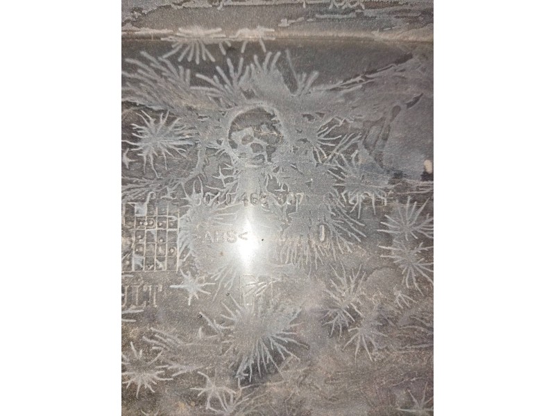 Recambio de molduras delanteras para renault magnum ab 2005 12.8 diesel referencia OEM IAM 5010468807 IZQUIERDA 