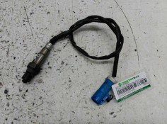 Recambio de sonda lambda para ford focus berlina (cap) ghia referencia OEM IAM 3M519G444AB  