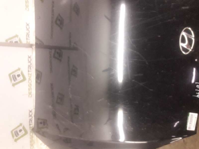 Recambio de capo para hyundai coupe (gk) 1.6 fx referencia OEM IAM   