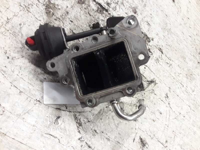 Recambio de enfriador egr para volkswagen golf v berlina (1k1) conceptline (e) referencia OEM IAM 03G131063  