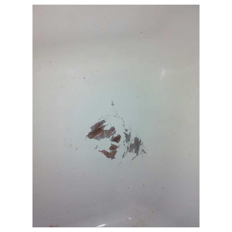 Recambio de paso rueda izquierdo para iveco stralis (as) fsa t / fp lt 4x2 gran espacio referencia OEM IAM   