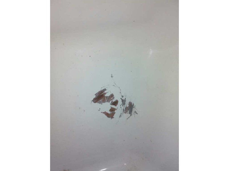 Recambio de paso rueda izquierdo para iveco stralis (as) fsa t / fp lt 4x2 gran espacio referencia OEM IAM   