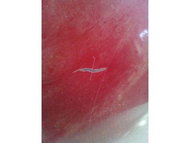 Recambio de capo para peugeot 806 universal studios port aventura referencia OEM IAM   