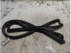 Recambio de gomas contorno puerta para bmw mini (r50,r53) one referencia OEM IAM   IZQUIERDA