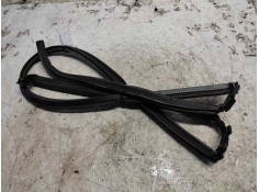 Recambio de gomas contorno puerta para bmw mini (r50,r53) one referencia OEM IAM   IZQUIERDA 2