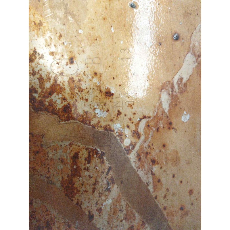 Recambio de catalizador para iveco stralis (as) fsa t / fp lt 4x2 gran espacio referencia OEM IAM 41299218  