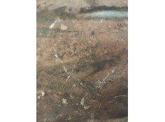 Recambio de catalizador para iveco stralis (as) 12.9 diesel referencia OEM IAM 41272365   2