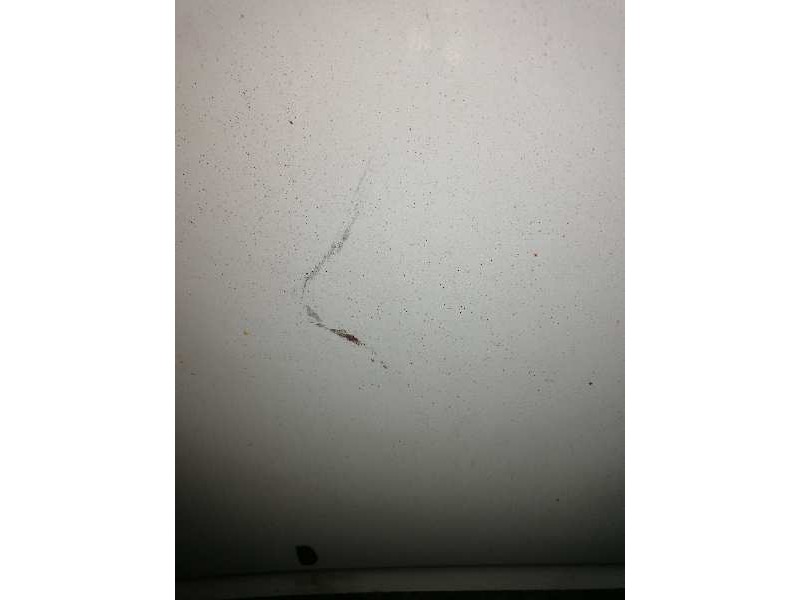 Recambio de capo para ford escort berlina/turnier bravo lim. referencia OEM IAM   