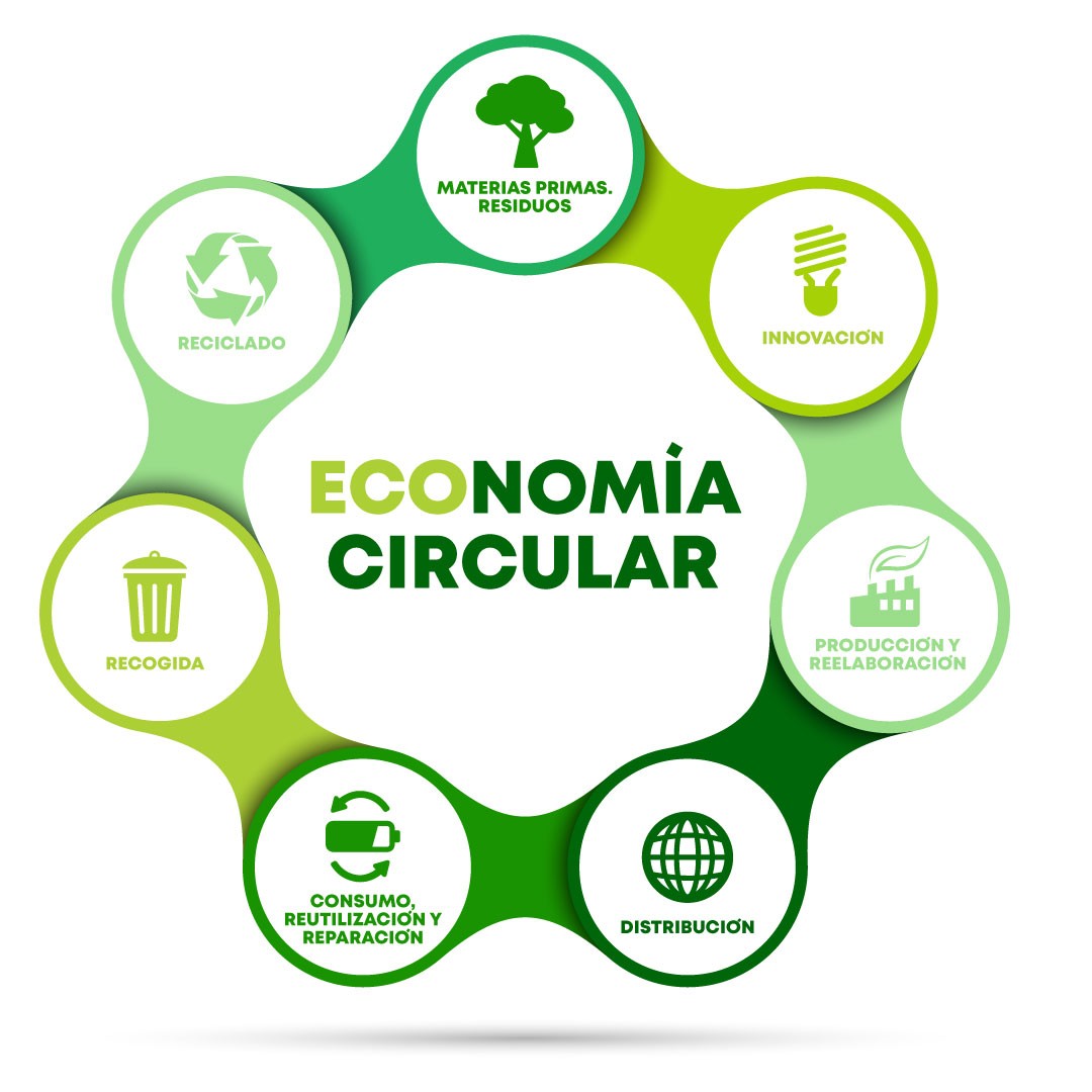 Un desguace pinta un futuro más sostenible. Economía circular